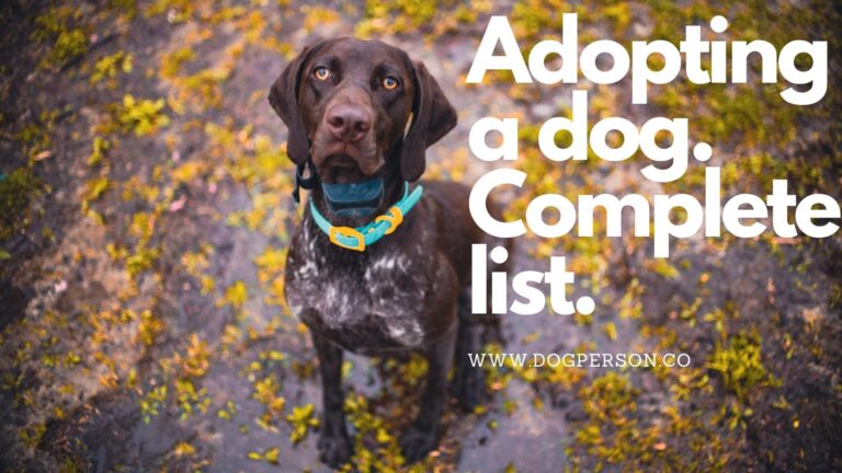 Adopting German Shorthaired Pointer Dog Rescue: What I learned and Puppy List You Need