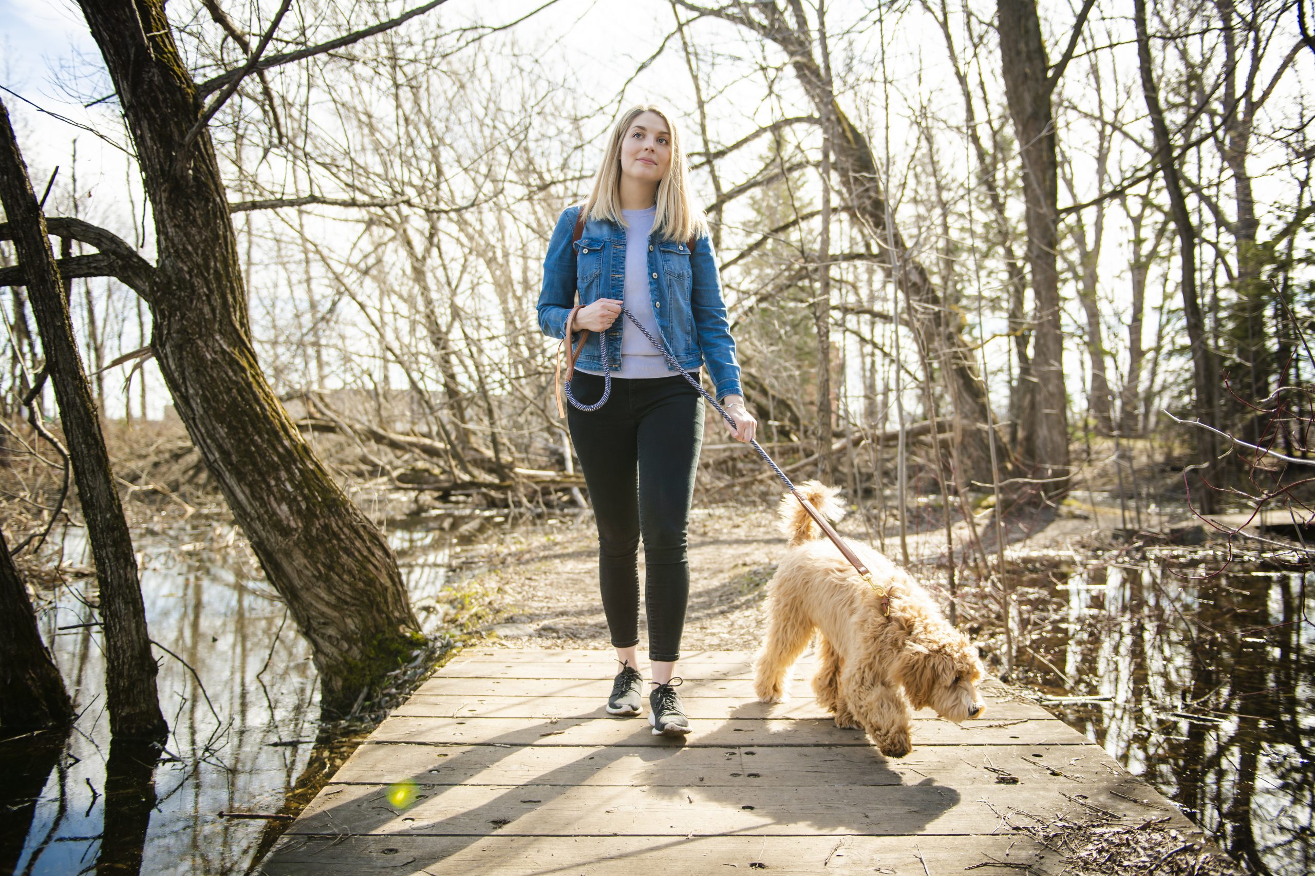 lady walking with a labradoodle at the park