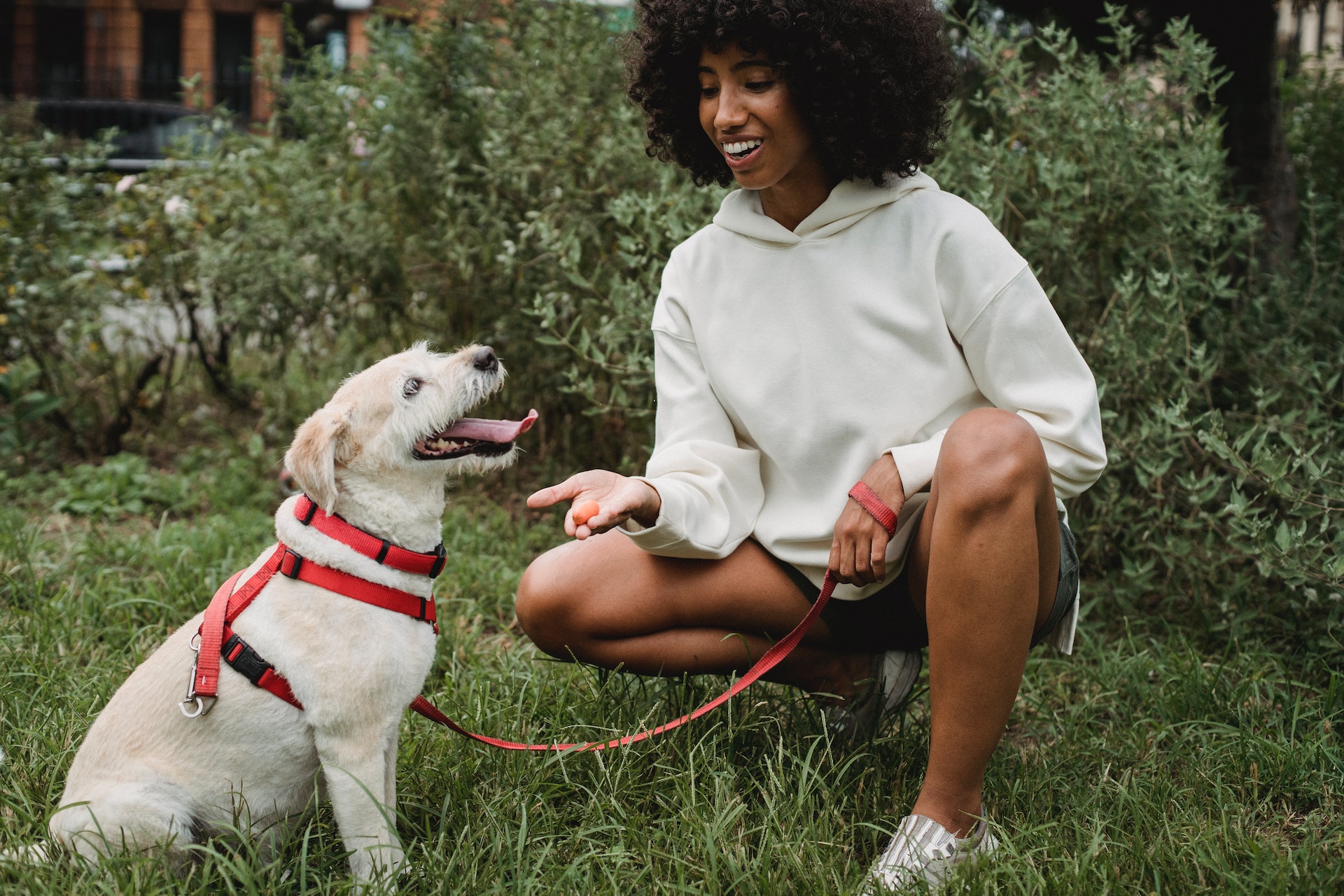 girl feeding a berry to her dog